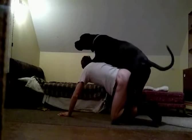 Video :Dog and gay animal sex video in webcam porn